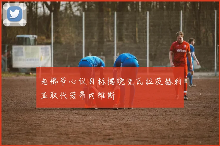 老佛爷心仪目标揭晓克瓦拉茨赫利亚取代若昂内维斯
