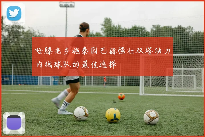 哈滕老乡施泰因巴赫强壮双塔助力内线球队的最佳选择